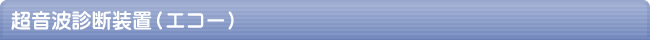 超音波診断装置（エコー）